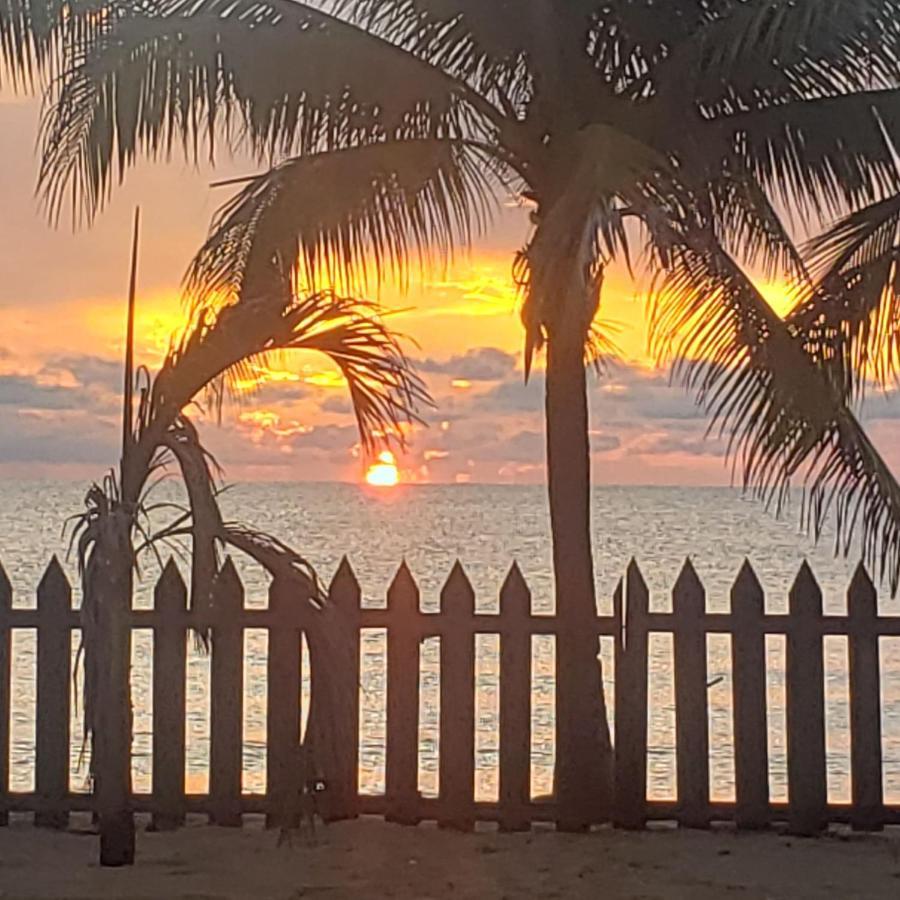Pal'S On The Beach - Dangriga, Belize Eksteriør bilde