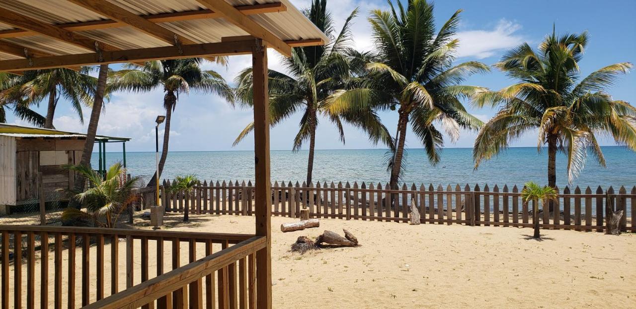 Pal'S On The Beach - Dangriga, Belize Eksteriør bilde