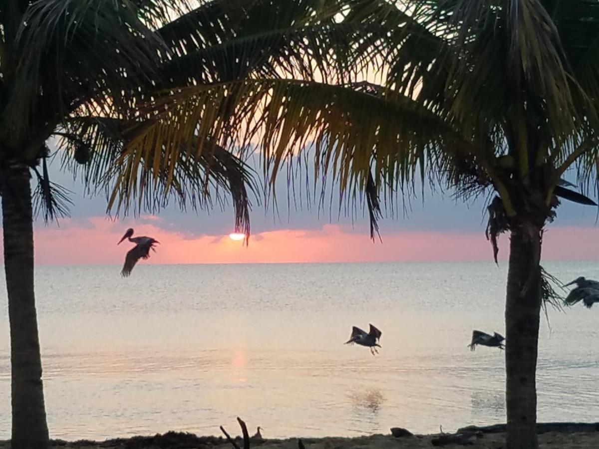 Pal'S On The Beach - Dangriga, Belize Eksteriør bilde