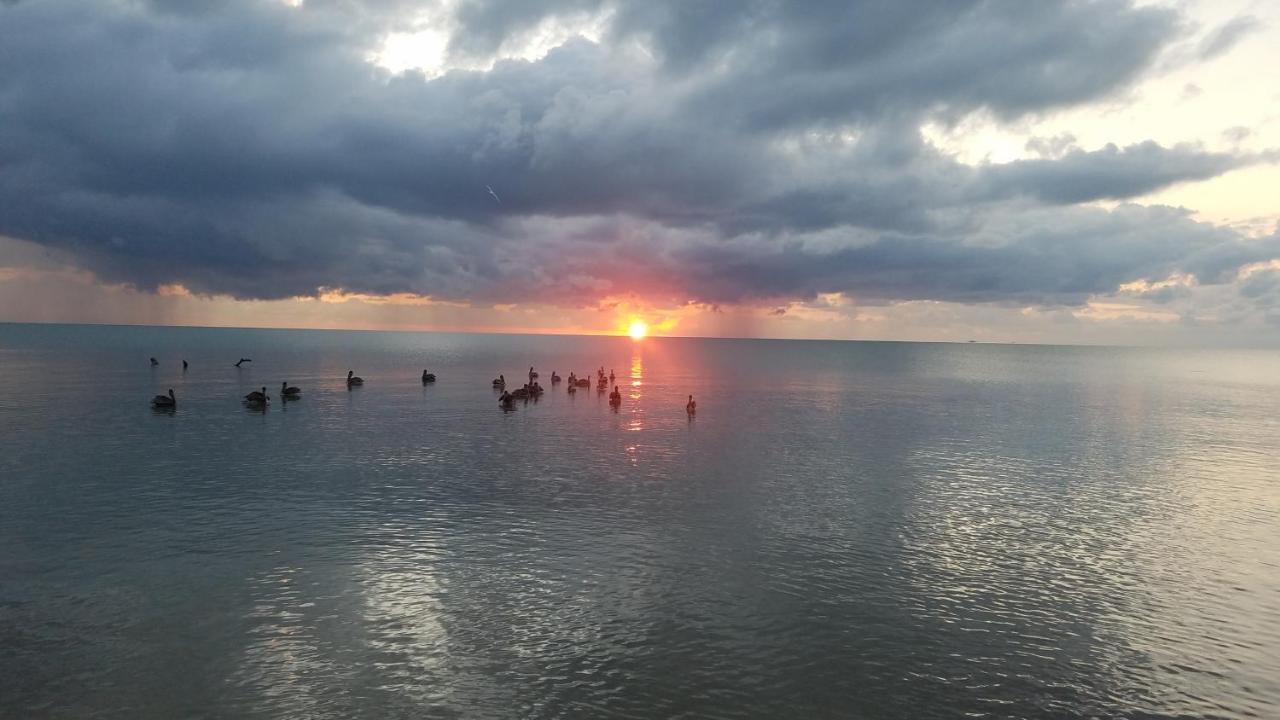 Pal'S On The Beach - Dangriga, Belize Eksteriør bilde