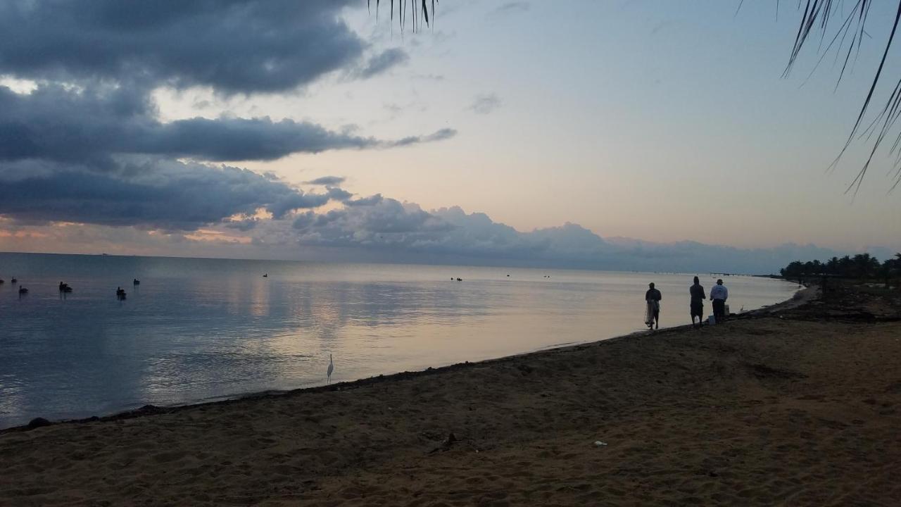 Pal'S On The Beach - Dangriga, Belize Eksteriør bilde